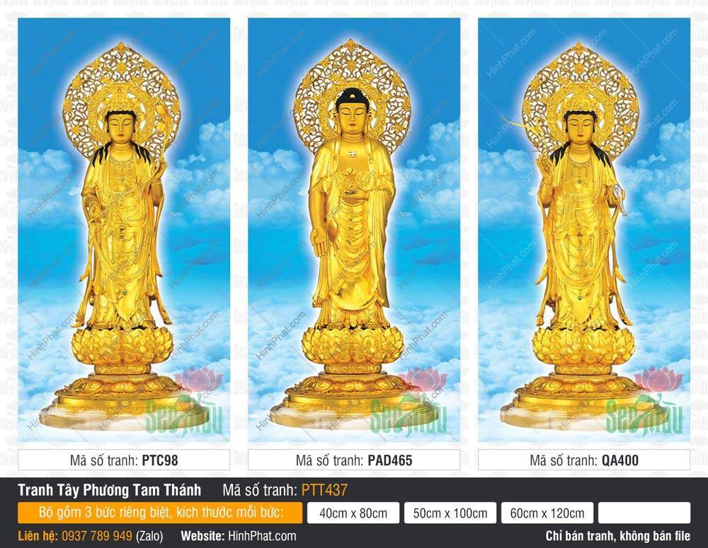 Tây Phương Tam Thánh size lớn PTT437 Tây Phương Tam Thánh size lớn PTT437 tôn tượng vàng đứng trên tòa sen giữa mây trời xanh