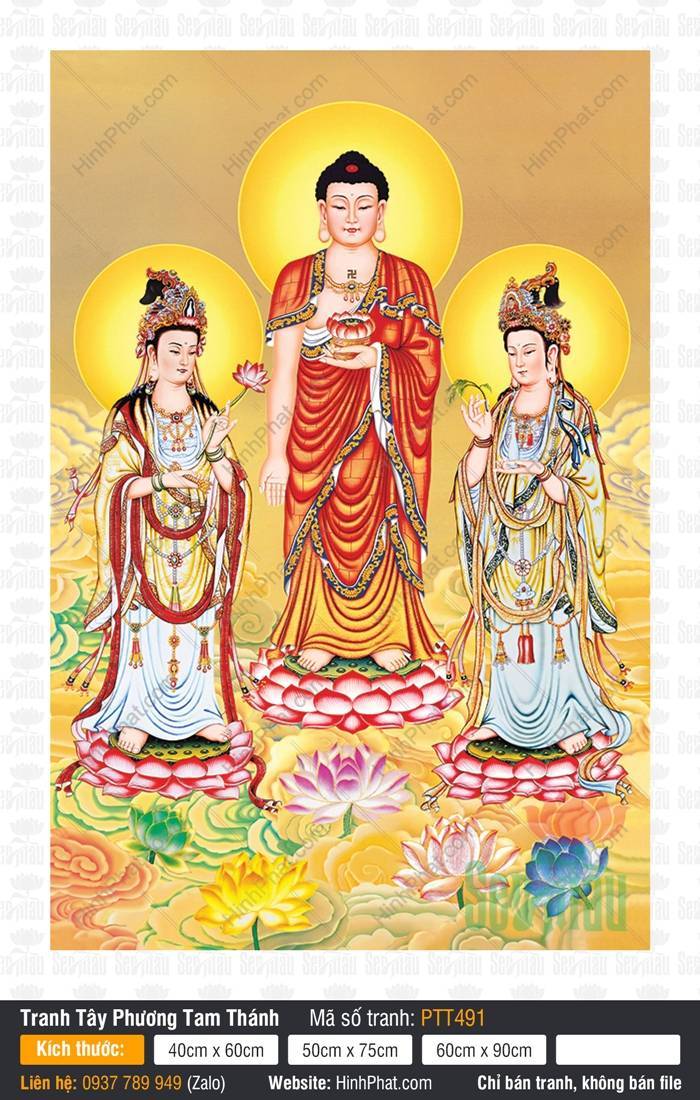 Tranh Phật Tây Phương Tam Thánh PTT491 Tranh Phật Tây Phương Tam Thánh PTT491 Ba Đức Ngài đứng uy nghiêm trên đài sen hồng rực rỡ