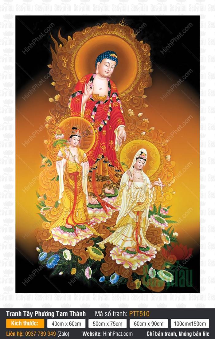 Tranh Phật Tây Phương Tam Thánh Tiếp Dẫn PTT510 Tranh Phật Tây Phương Tam Thánh Tiếp Dẫn PTT510 ba vị Phật đứng trên tòa sen nền nâu trầm
