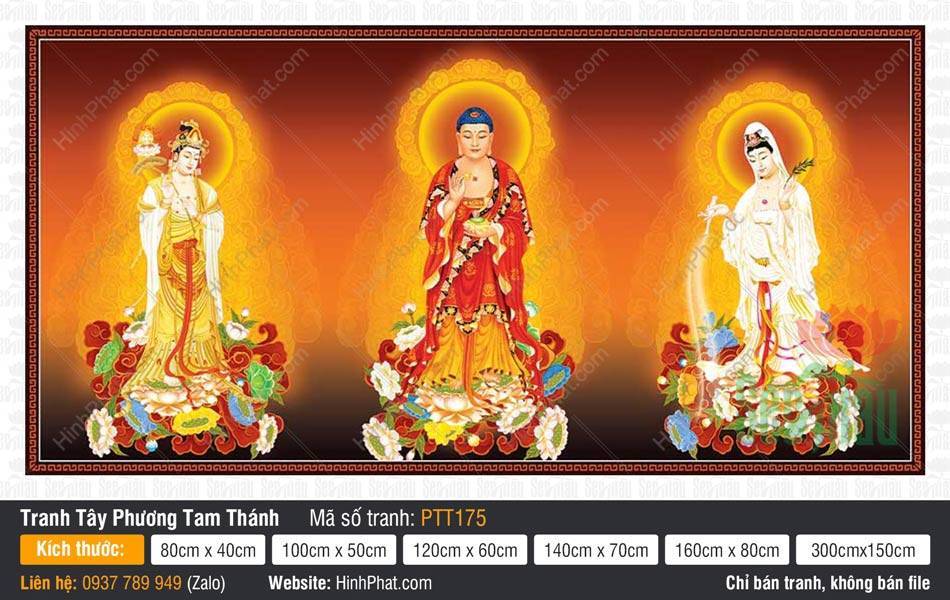 Tranh Tây Phương Tam Thánh A Di Đà Phật PTT175 Tranh Tây Phương Tam Thánh A Di Đà Phật PTT175 ba tôn tượng đứng uy nghiêm trên tòa sen