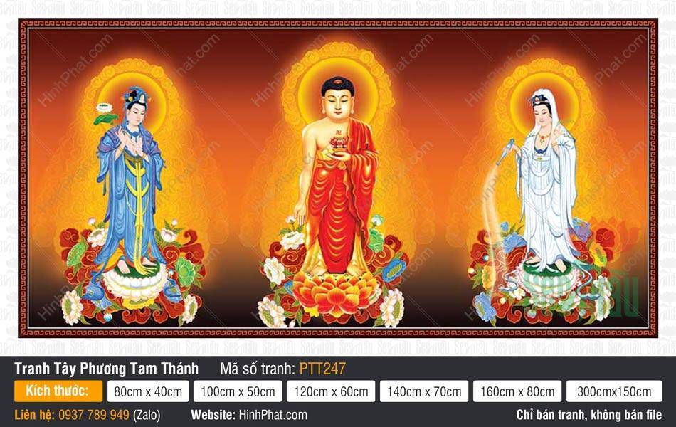 Tranh Tây Phương Tam Thánh A Di Đà Phật PTT247 Tác phẩm Tranh Tây Phương Tam Thánh A Di Đà Phật PTT247 tả thực ba vị đứng trên đài sen.