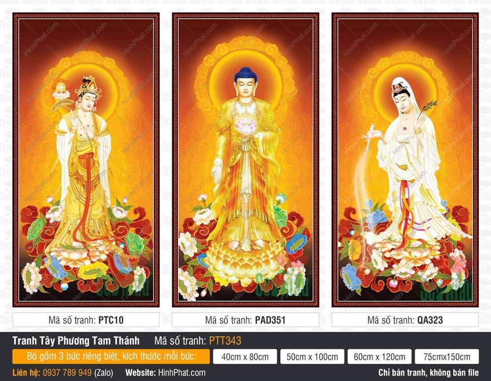 Tranh Tây Phương Tam Thánh A Di Đà Phật PTT343 Tranh Tây Phương Tam Thánh A Di Đà Phật PTT343 bộ ba bức đứng đài sen vàng trang nghiêm