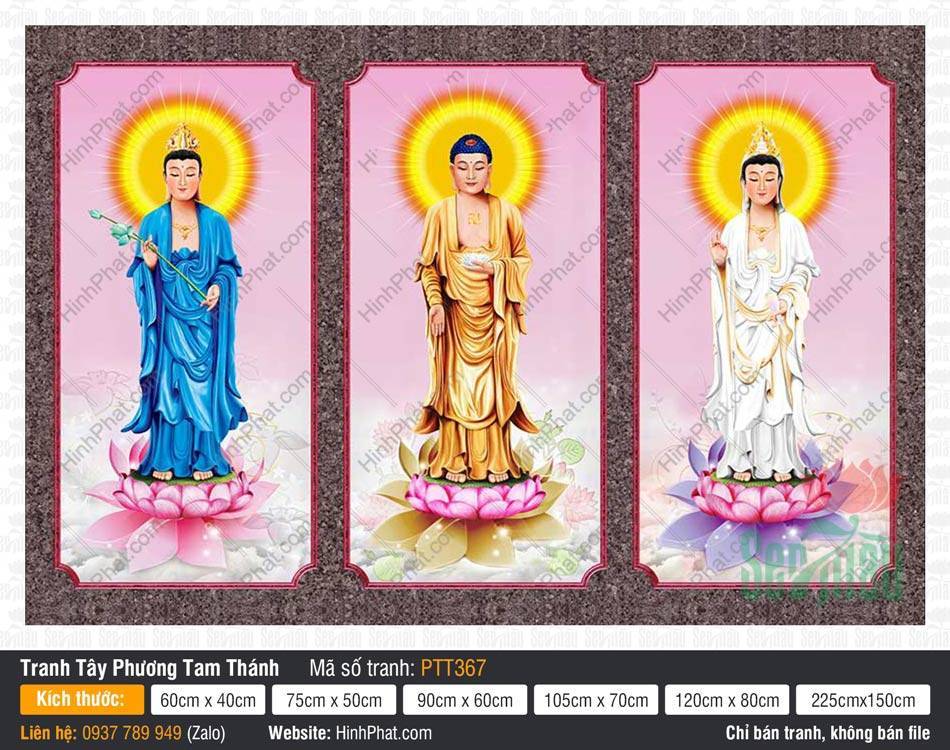 Tranh Tây Phương Tam Thánh A Di Đà Phật PTT367 Tranh Tây Phương Tam Thánh A Di Đà Phật PTT367 tả ba vị thánh ngự đài sen trong khung đứng.