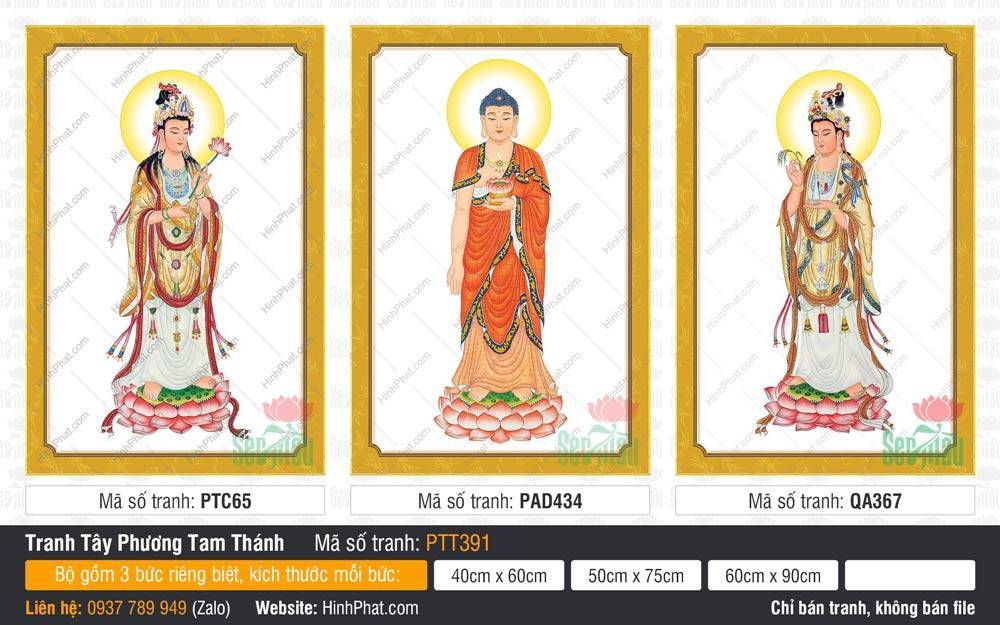 Tranh Tây Phương Tam Thánh A Di Đà Phật PTT391 Tranh Tây Phương Tam Thánh A Di Đà Phật PTT391 bộ 3 bức đứng trên đài sen hồng nền trắng