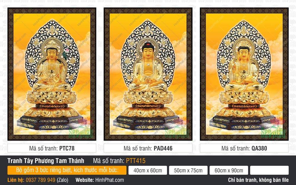 Tranh Tây Phương Tam Thánh A Di Đà Phật PTT415 Tranh Tây Phương Tam Thánh A Di Đà Phật PTT415 tượng vàng tọa sen giữa mây vàng