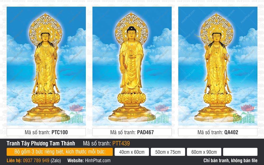 Tranh Tây Phương Tam Thánh A Di Đà Phật PTT439 Tranh Tây Phương Tam Thánh A Di Đà Phật PTT439 với tôn tượng vàng kim rực rỡ giữa mây xanh