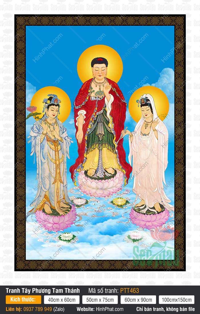 Tranh Tây Phương Tam Thánh A Di Đà Phật PTT463 Tranh Tây Phương Tam Thánh A Di Đà Phật PTT463 đứng trên đài sen giữa làn mây trắng bồng bềnh