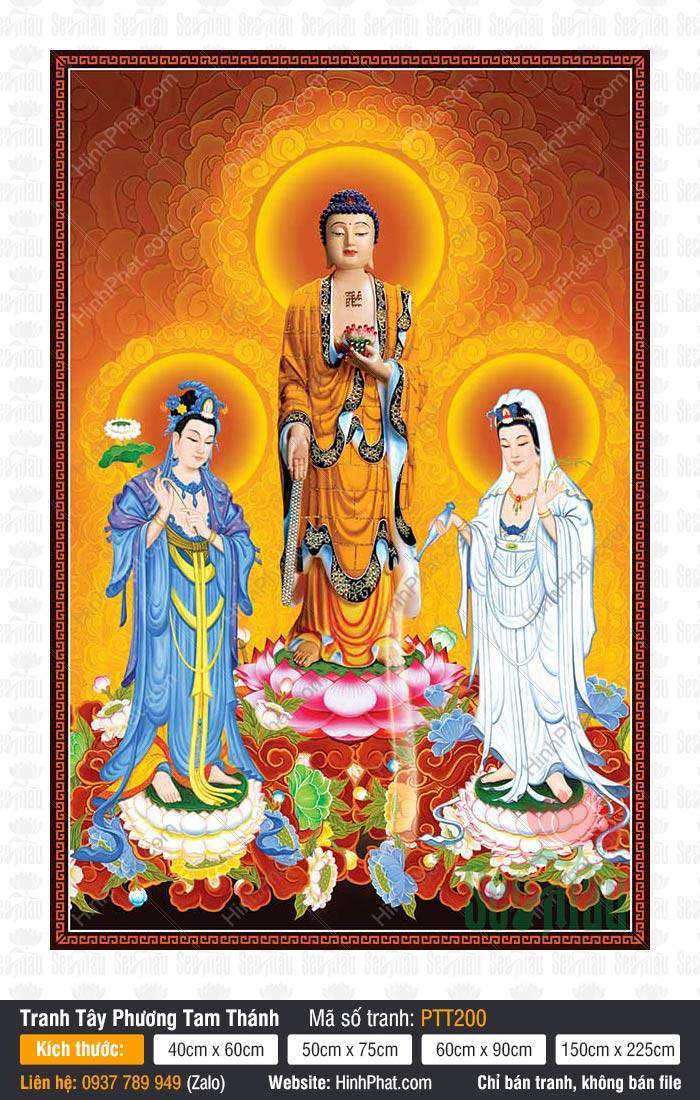 Tranh Tây Phương Tam Thánh Chất Lượng Cao PTT200 Tranh Tây Phương Tam Thánh Chất Lượng Cao PTT200 ba đức Phật đứng uy nghiêm trên đài sen hồng rực rỡ