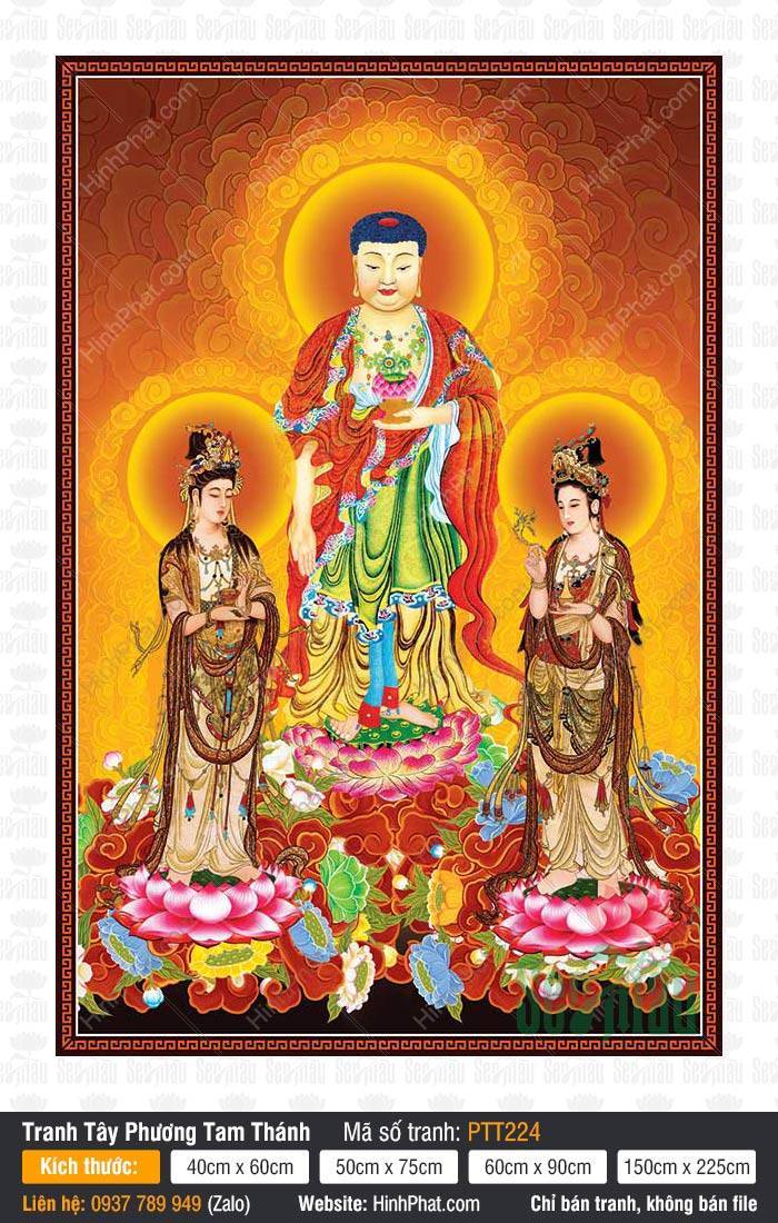Tranh Tây Phương Tam Thánh Chất Lượng Cao PTT224 Tranh Tây Phương Tam Thánh Chất Lượng Cao PTT224, ba Ngài ngự trên đài hoa sen hồng