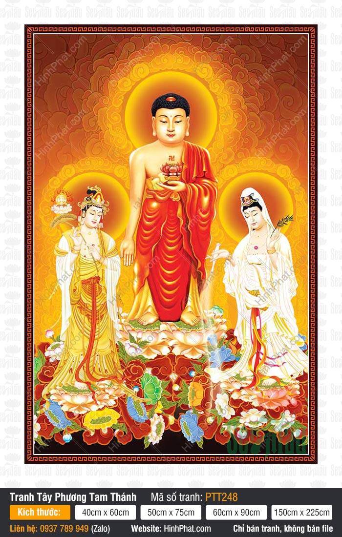 Tranh Tây Phương Tam Thánh Chất Lượng Cao PTT248 Tranh Tây Phương Tam Thánh Chất Lượng Cao PTT248 ba vị đứng trang nghiêm trên tòa sen trắng hào quang rực rỡ