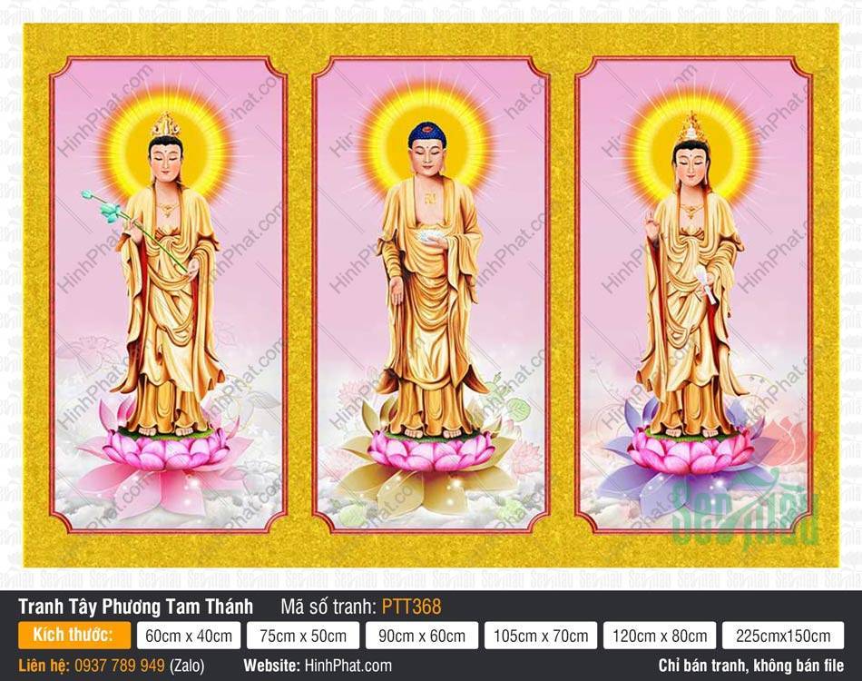 Tranh Tây Phương Tam Thánh Chất Lượng Cao PTT368 Tranh Tây Phương Tam Thánh Chất Lượng Cao PTT368 ba vị Phật y vàng trên nền hồng