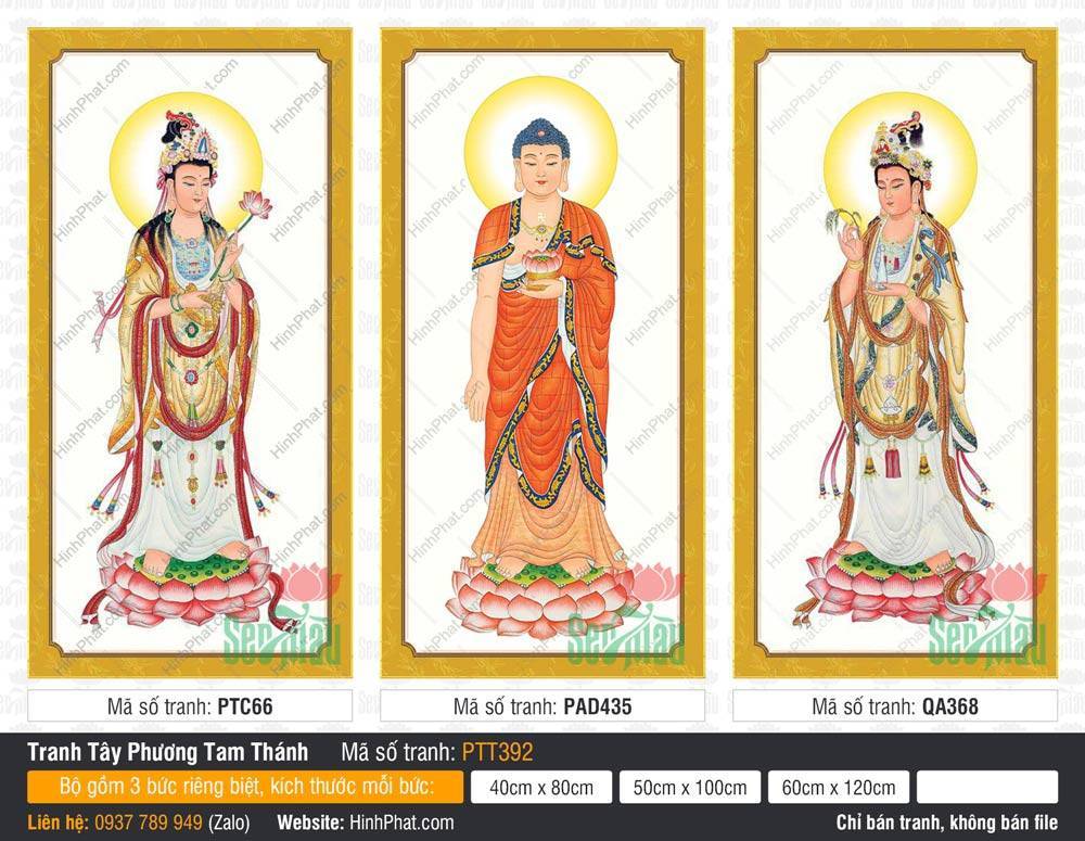 Tranh Tây Phương Tam Thánh Chất Lượng Cao PTT392 Tranh Tây Phương Tam Thánh PTT392 gồm ba tôn tượng đứng trên đài sen hồng