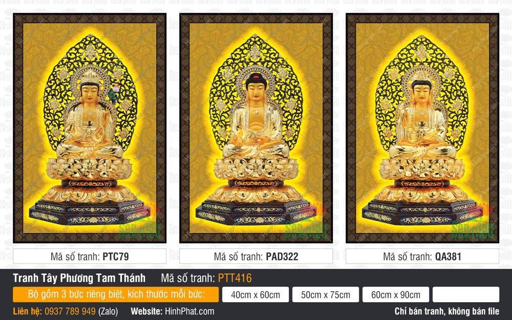 Tranh Tây Phương Tam Thánh Chất Lượng Cao PTT416 Tranh Tây Phương Tam Thánh Chất Lượng Cao PTT416 ba vị Phật tọa sen vàng hào quang đen