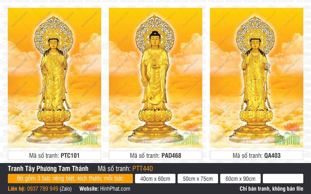 Tranh Tây Phương Tam Thánh Chất Lượng Cao PTT440 Tranh Tây Phương Tam Thánh Chất Lượng Cao PTT440 tượng vàng đứng trên tòa sen nền mây vàng rực