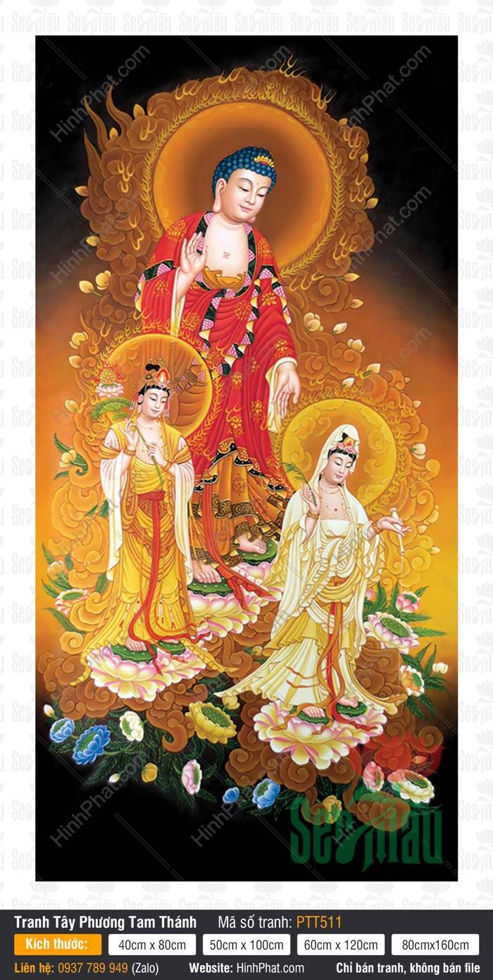 Tranh Tây Phương Tam Thánh Chất Lượng Cao PTT511 Tranh Tây Phương Tam Thánh Chất Lượng Cao PTT511 Ba Ngài đứng trên đài sen mây vàng cổ điển