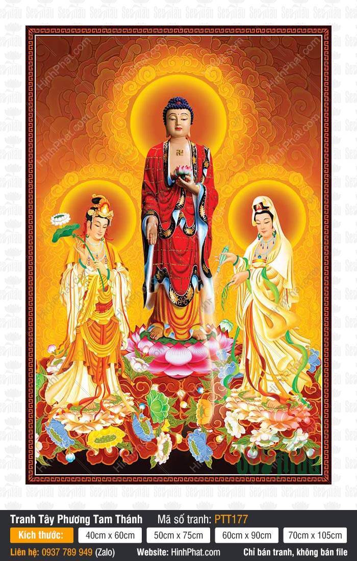 Tranh Tây Phương Tam Thánh Đẹp PTT177 Tranh Tây Phương Tam Thánh Đẹp PTT177 ba vị đứng trên đài sen nền vàng hào quang rực rỡ