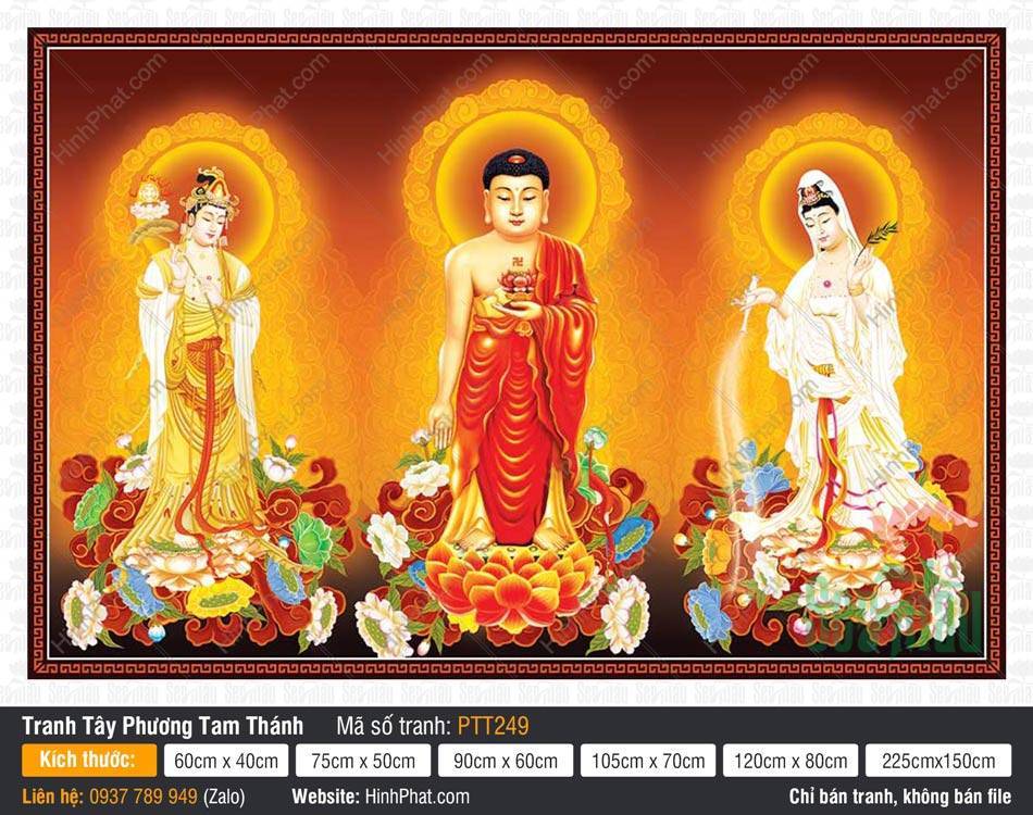 Tranh Tây Phương Tam Thánh Đẹp PTT249 Tranh Tây Phương Tam Thánh Đẹp PTT249 khắc họa ba vị đứng uy nghiêm trên đài sen vàng tỏa sáng
