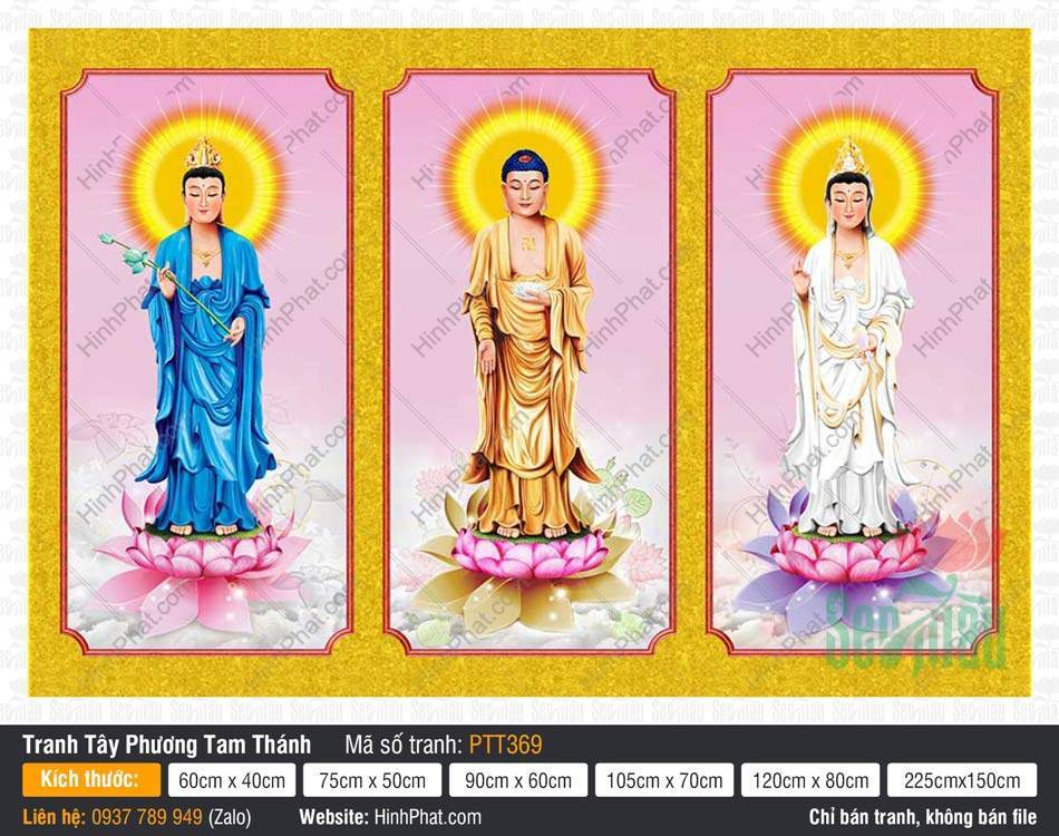 Tranh Tây Phương Tam Thánh Đẹp PTT369 Tranh Tây Phương Tam Thánh Đẹp PTT369 ba Ngài ngự đài sen hồng nền vàng rực rỡ