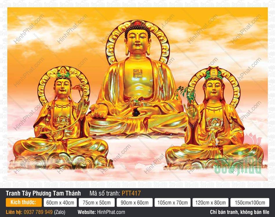 Tranh Tây Phương Tam Thánh Đẹp PTT417 Tranh Tây Phương Tam Thánh Đẹp PTT417 ba tôn tượng vàng rực rỡ trên đài sen xanh giữa hào quang lộng lẫy