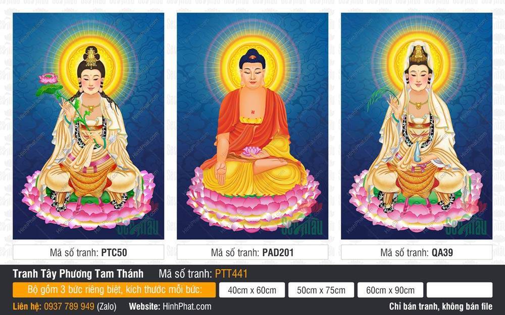 Tranh Tây Phương Tam Thánh Đẹp PTT441 Tranh Tây Phương Tam Thánh Đẹp PTT441 Đức Phật và Bồ Tát ngự tòa sen vàng hào quang rực rỡ