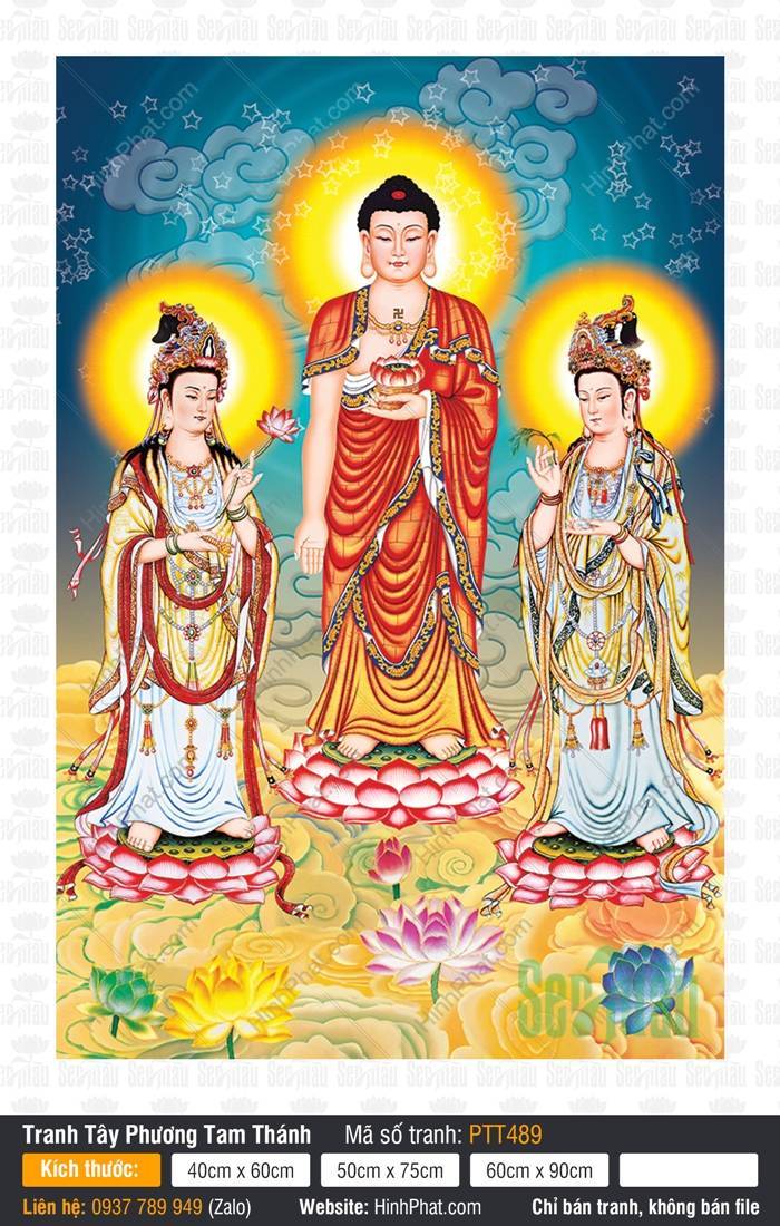 Tranh Tây Phương Tam Thánh Đẹp PTT489 Tranh Tây Phương Tam Thánh PTT489 với ba vị Thánh đứng trên đài sen giữa trời mây thanh tịnh