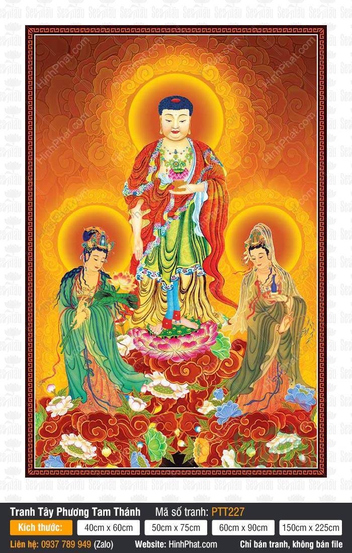 Tranh Tây Phương Tam Thánh Khổ Lớn PTT227 Tranh Tây Phương Tam Thánh Khổ Lớn PTT227 với hình ảnh ba Ngài ngự trên đài sen hồng rực rỡ