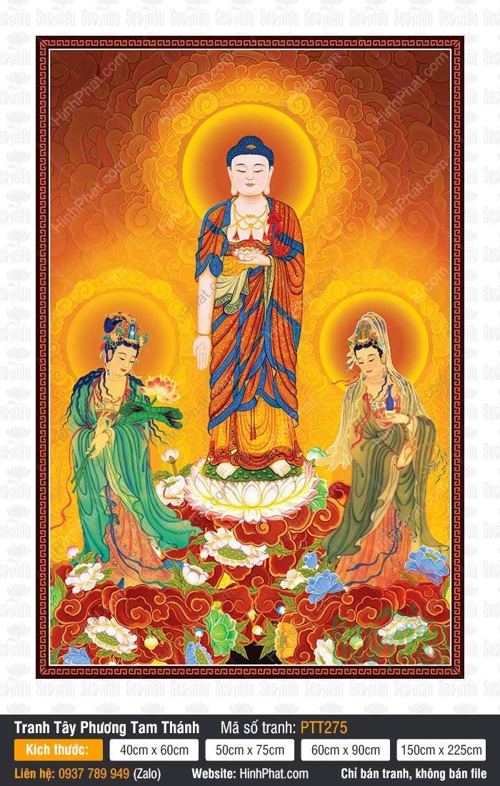 Tranh Tây Phương Tam Thánh Khổ Lớn PTT275 Tranh Tây Phương Tam Thánh Khổ Lớn PTT275 họa Ba Ngài đứng trên đài sen hồng rực rỡ