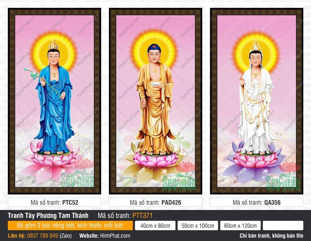 Tranh Tây Phương Tam Thánh Khổ Lớn PTT371 Tranh Tây Phương Tam Thánh Khổ Lớn PTT371 khắc họa ba vị Phật áo xanh vàng trắng đứng trên đài sen