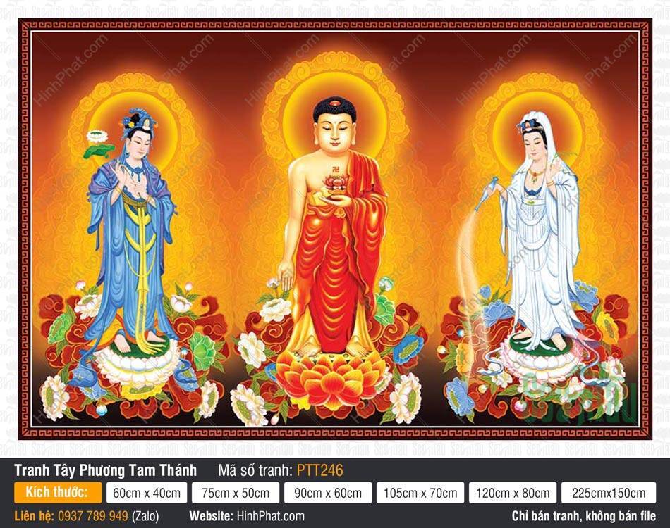 Tranh Tây Phương Tam Thánh PTT246 Tranh Tây Phương Tam Thánh PTT246 ngự tòa sen trên nền vàng hào quang rực rỡ
