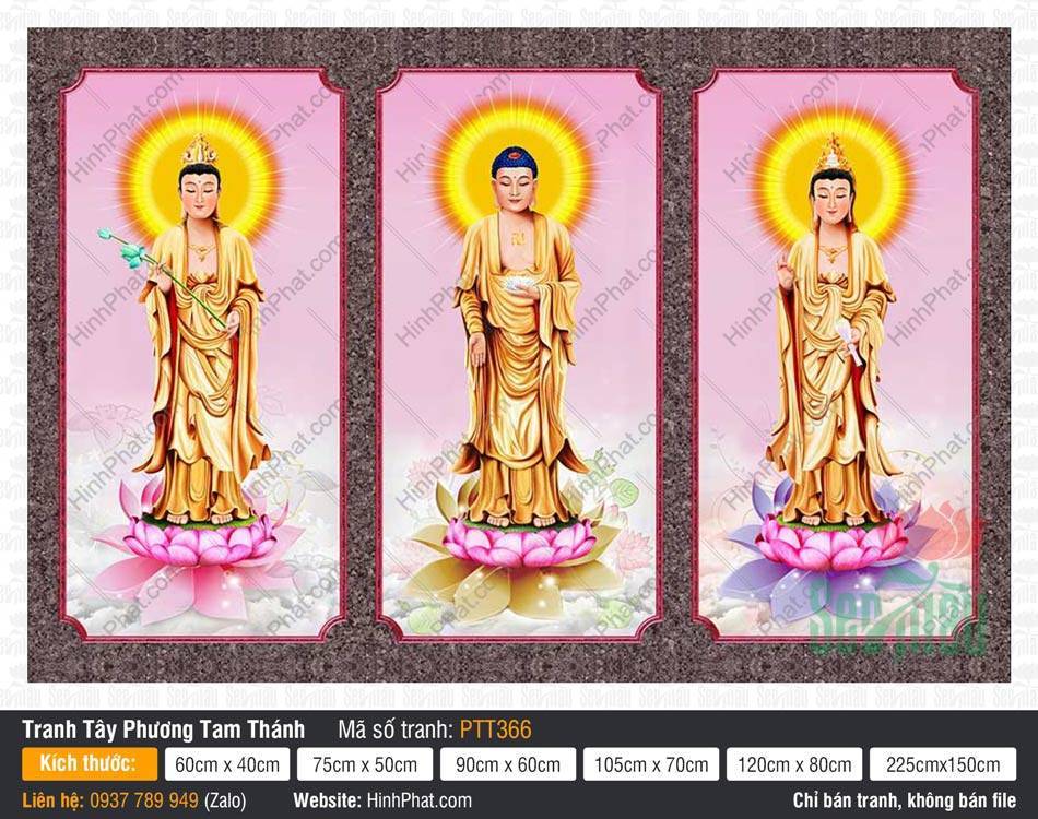 Tranh Tây Phương Tam Thánh PTT366 Tranh Tây Phương Tam Thánh PTT366 ba bức ghép các Ngài mặc y vàng