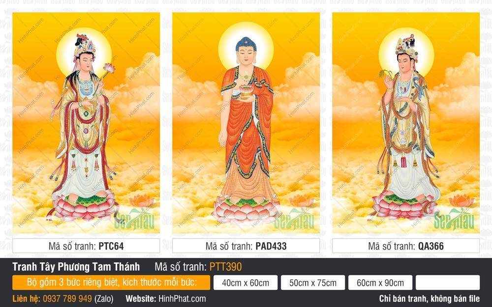 Tranh Tây Phương Tam Thánh PTT390 Tranh Tây Phương Tam Thánh PTT390 khắc họa Ba Đức Phật đứng trên tòa sen mây vàng