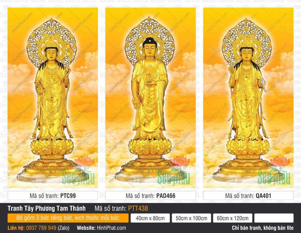 Tranh Tây Phương Tam Thánh PTT438 Tranh Tây Phương Tam Thánh PTT438 với ba vị tôn tượng nhũ vàng đứng giữa mây trời rực rỡ