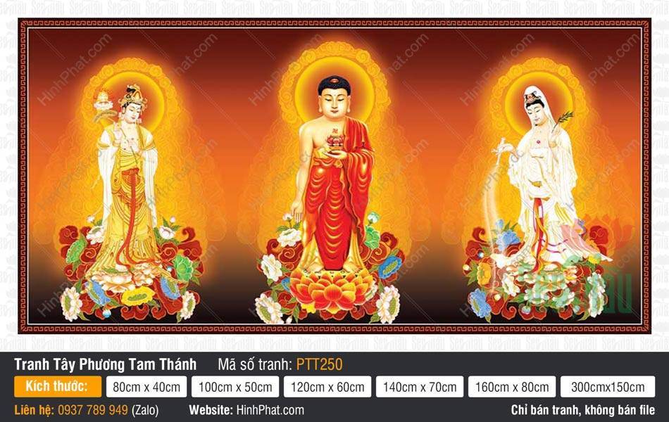 Tranh Tây Phương Tam Thánh đẹp nhất PTT250 Tranh Tây Phương Tam Thánh đẹp nhất PTT250 tả thực ba vị đứng trên đài sen hồng hào quang rực rỡ.