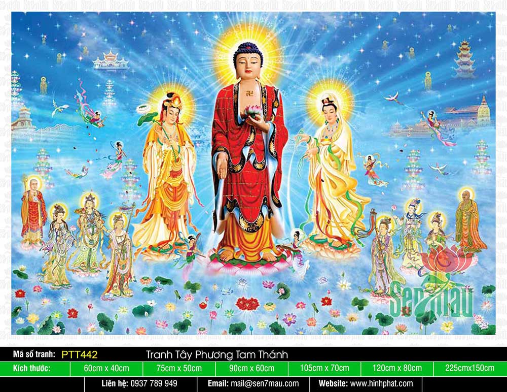 38 Hình ảnh Tây Phương Tam Thánh  Hình ảnh Phật giáo chất lượng cao