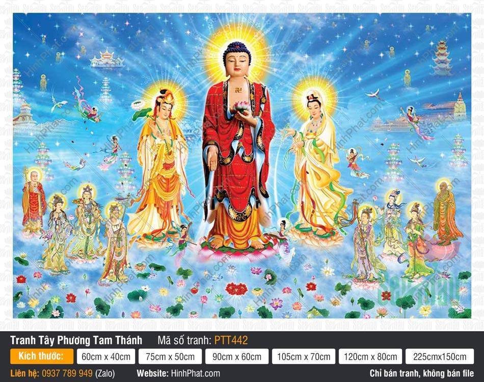 Tranh Tây Phương Tam Thánh đẹp nhất PTT442 Tranh Tây Phương Tam Thánh đẹp nhất PTT442 với Đức Phật A Di Đà mặc sắc y đỏ rực rỡ