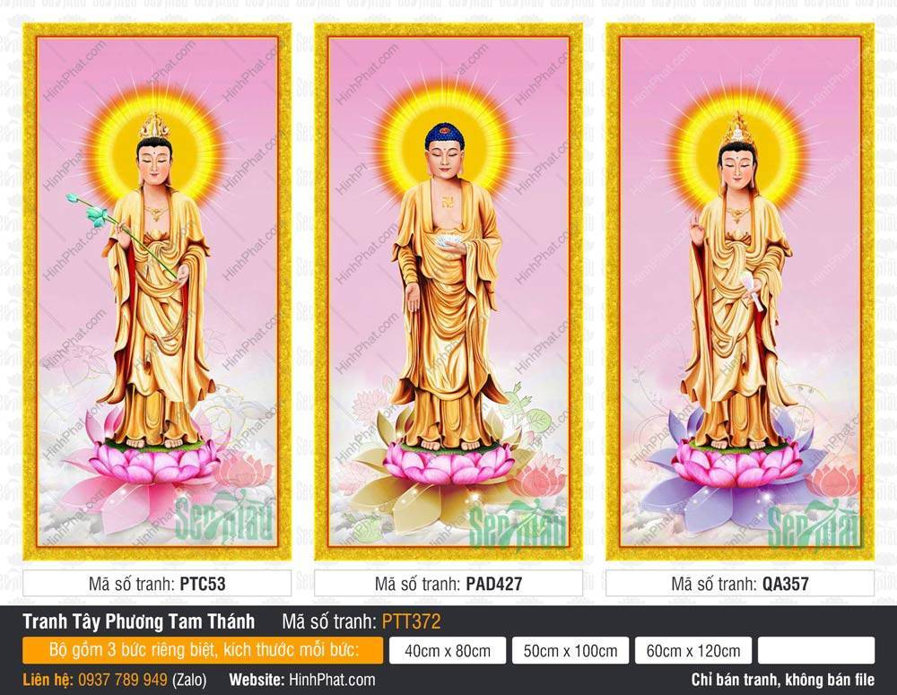 Tranh Tây Phương Tam Thánh kích thước lớn PTT372 Tranh Tây Phương Tam Thánh kích thước lớn PTT372 ba Ngài mặc y vàng đứng đài sen hồng