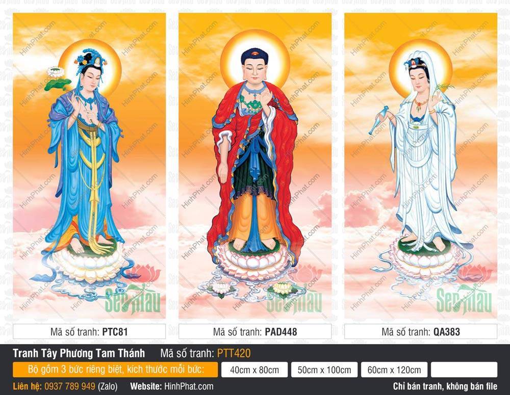 Tranh Tây Phương Tam Thánh kích thước lớn PTT420 Tranh Tây Phương Tam Thánh kích thước lớn PTT420 mô tả ba vị Phật Bồ Tát đứng uy nghiêm trên đài sen trắng