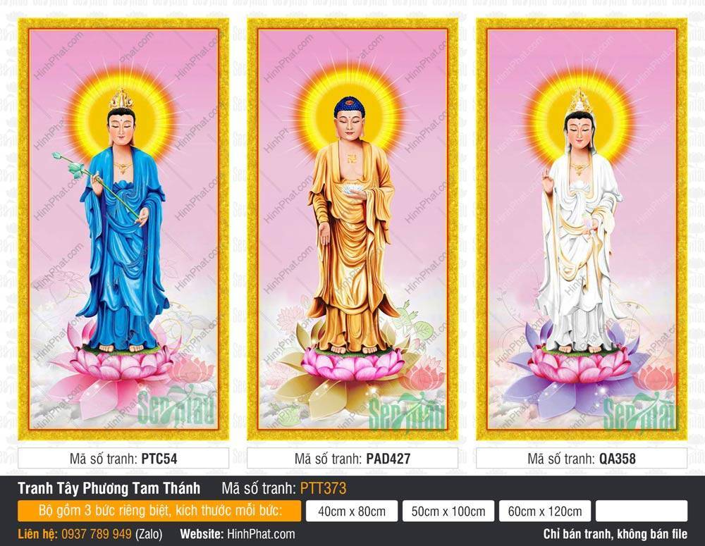 Tranh Tây Phương Tam Thánh size Lớn PTT373 Tranh Tây Phương Tam Thánh size Lớn PTT373 khắc họa ba Đức Phật ngự đài sen hồng rực rỡ.