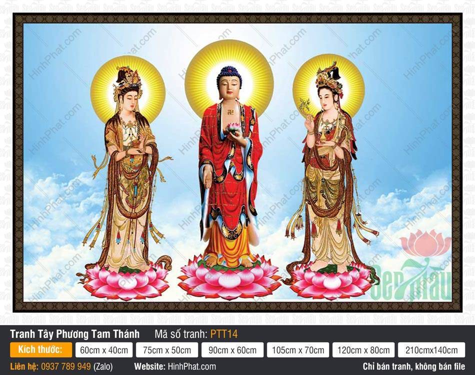 Hình Tây Phương Tam Thánh PTT14 Hình Tây Phương Tam Thánh PTT14 khắc họa Đức Phật đứng trên đài sen hồng giữa mây trắng