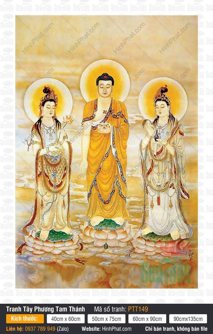 Hình Tây Phương Tam Thánh PTT149 Hình Tây Phương Tam Thánh PTT149 khắc họa ba vị Phật đứng trang nghiêm trên đài sen