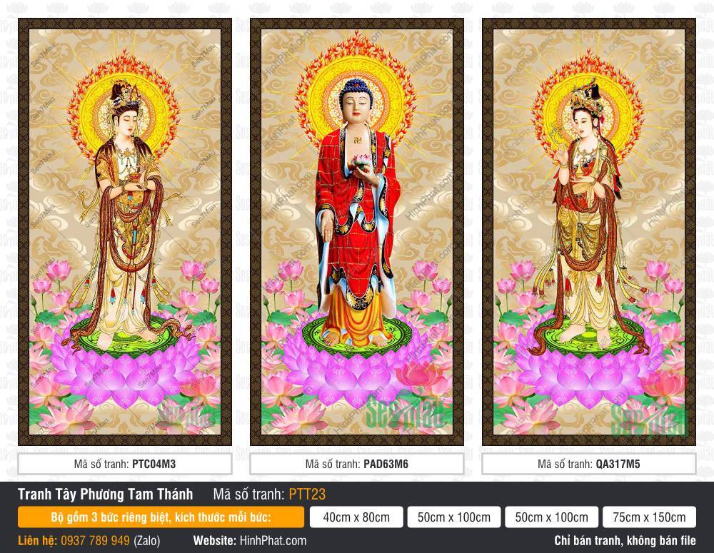 Hình Tây Phương Tam Thánh PTT23 Hình Tây Phương Tam Thánh PTT23 khắc họa Đức Phật và hai vị Bồ Tát đứng trên đài sen hồng