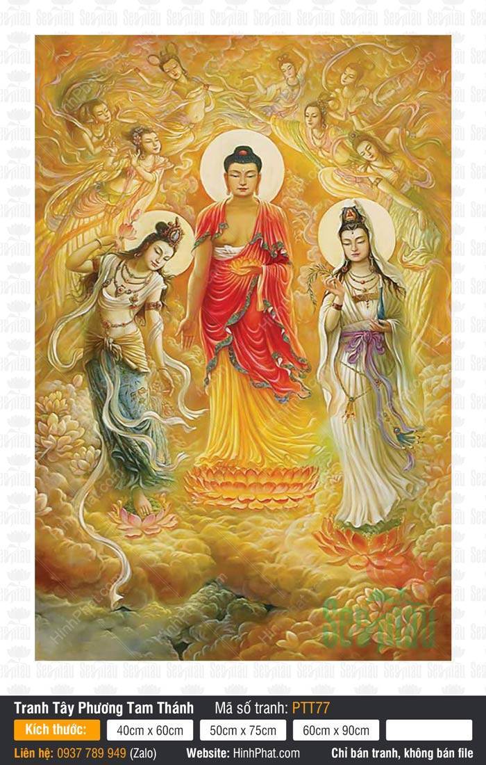 Hình Tây Phương Tam Thánh PTT77 Hình Tây Phương Tam Thánh PTT77 cảnh thiên nữ rải hoa trên nền mây vàng