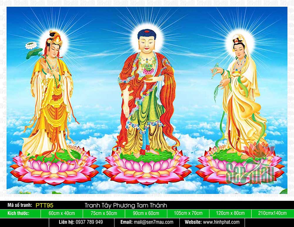 Hình Tây Phương Tam Thánh | Hình Phật Đẹp, Hình Ảnh Phật Giáo, PTT95