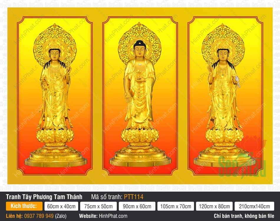 Hình Tây Phương Tam Thánh đẹp PTT114 Hình Tây Phương Tam Thánh đẹp PTT114 ba vị Phật đứng đài sen tỏa hào quang