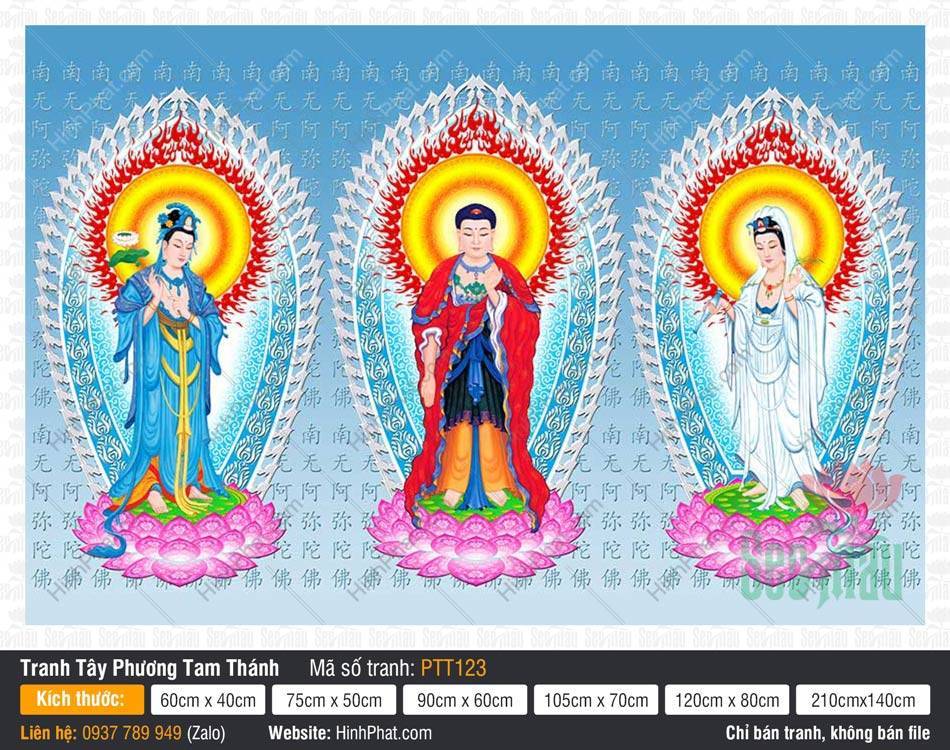 Hình Tây Phương Tam Thánh đẹp PTT123 Hình Tây Phương Tam Thánh đẹp PTT123 với hình ảnh ba vị Phật ngự trên đài sen hồng rực rỡ