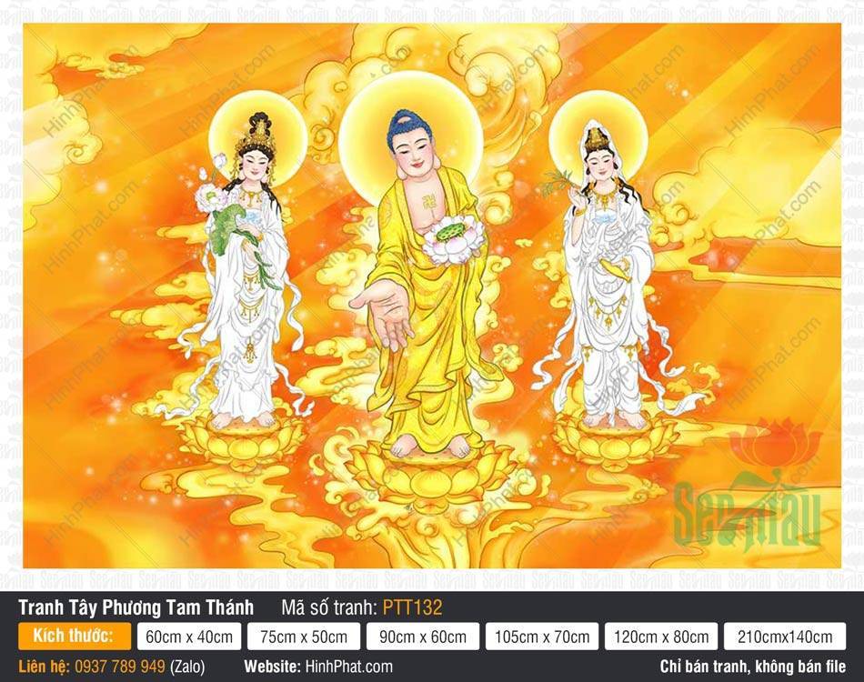 Hình Tây Phương Tam Thánh đẹp PTT132 Hình Tây Phương Tam Thánh đẹp PTT132 với Đức Phật A Di Đà và hai vị Bồ Tát ngự tòa sen