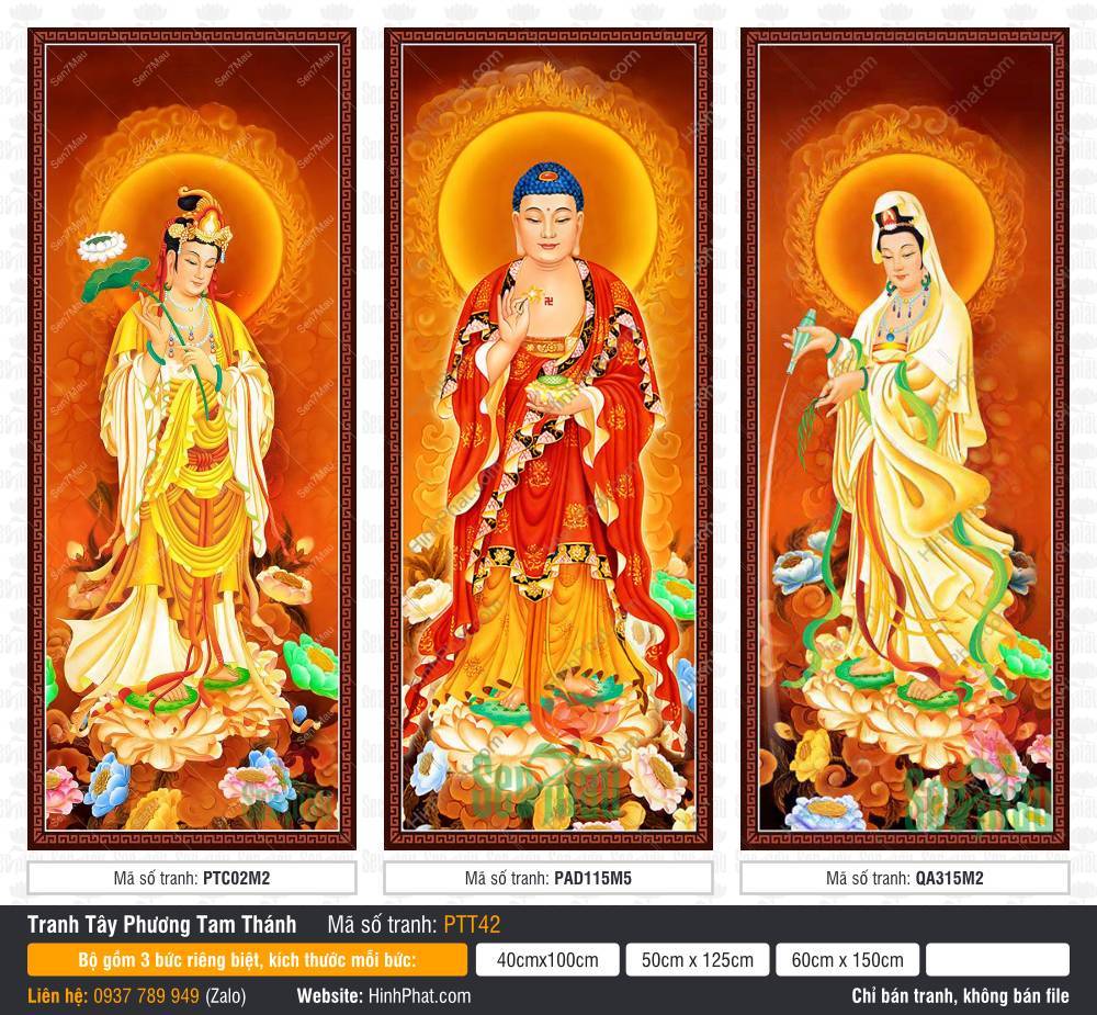Hình Tây Phương Tam Thánh đẹp PTT42 Hình Tây Phương Tam Thánh đẹp PTT42 nền mây vàng cuộn rực rỡ và đài sen