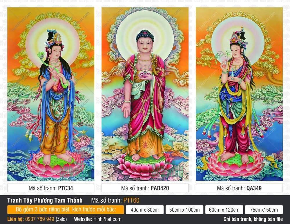 Hình Tây Phương Tam Thánh đẹp PTT60 Hình Tây Phương Tam Thánh đẹp PTT60 bộ ba bức khắc họa chư Phật ngự đài sen