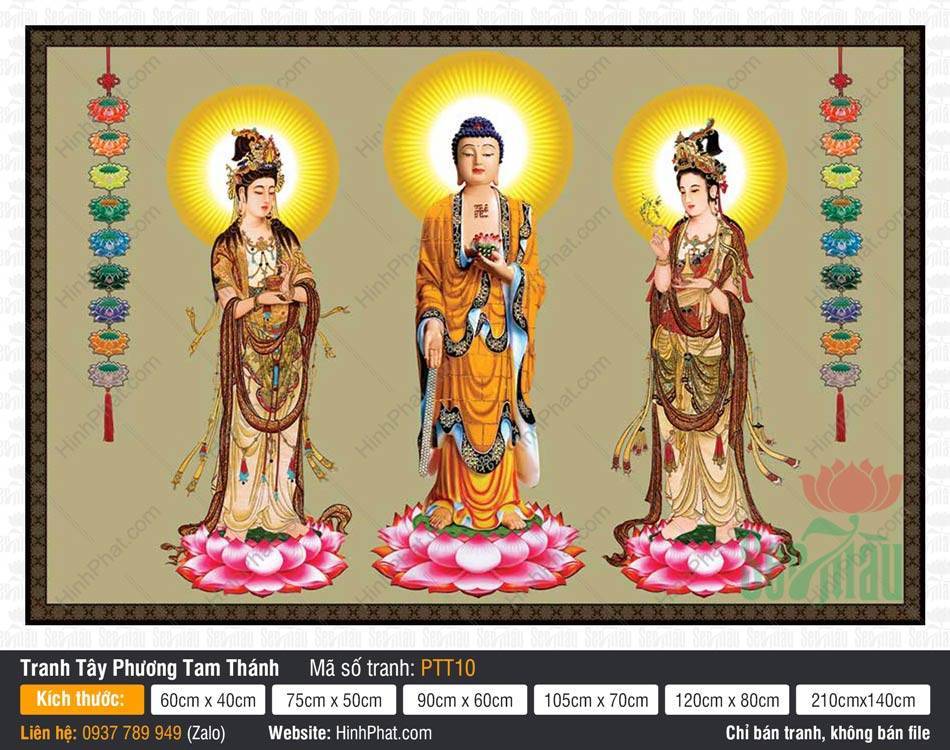 Hình Tây Phương Tam Thánh Khổ Lớn PTT10 Hình Tây Phương Tam Thánh Khổ Lớn PTT10 ngự đài sen hồng với hào quang rực rỡ