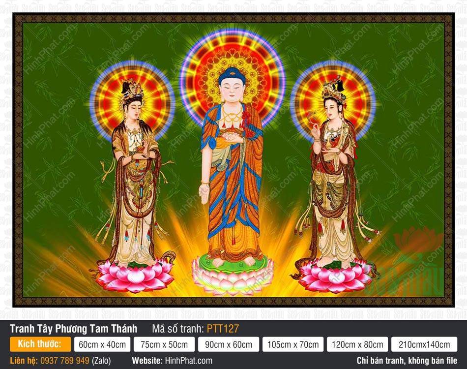 Hình Tây Phương Tam Thánh Khổ Lớn PTT127 Hình Tây Phương Tam Thánh Khổ Lớn PTT127 ba Ngài ngự đài sen hồng rực rỡ